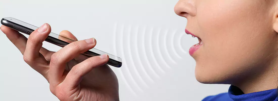 Residential and Commercial Voice Recognition Access Solutions in Parry Sound, ON