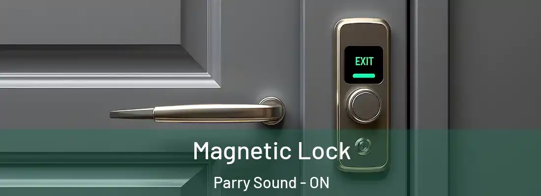  Magnetic Lock Parry Sound - ON