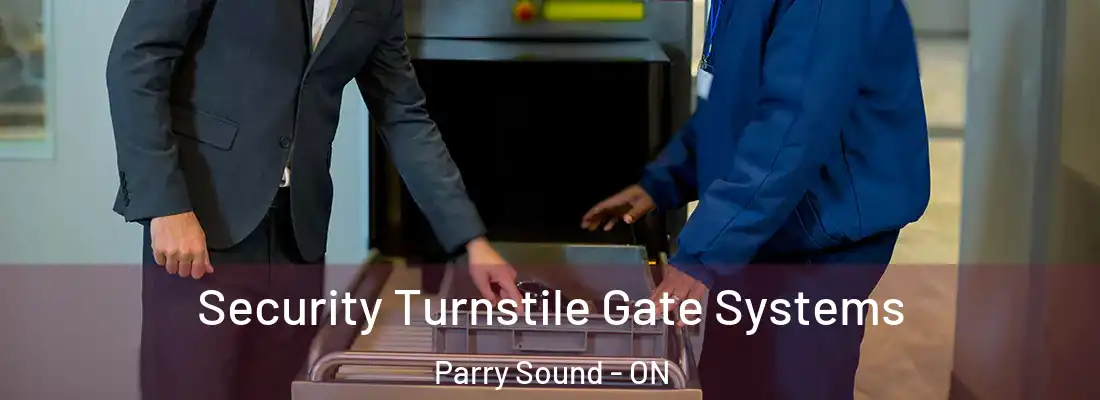 Security Turnstile Gate Systems Parry Sound - ON